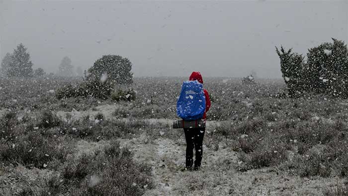Wildsede in Winter
