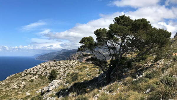 Map And Stages Gr221 Mallorca Hiking Experience